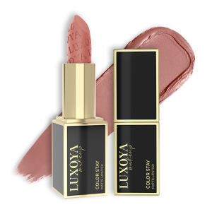 Luxoya color stay solid matte lipstick 2