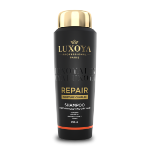 LXY Samp Repair 250ml